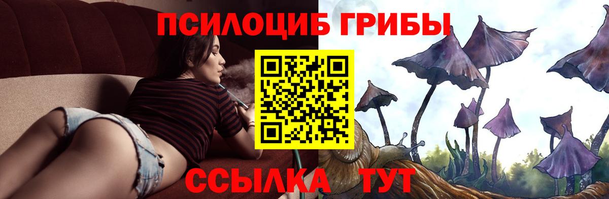 Слободской  Галлюциногенные грибы мухоморы  Вход с VPN 