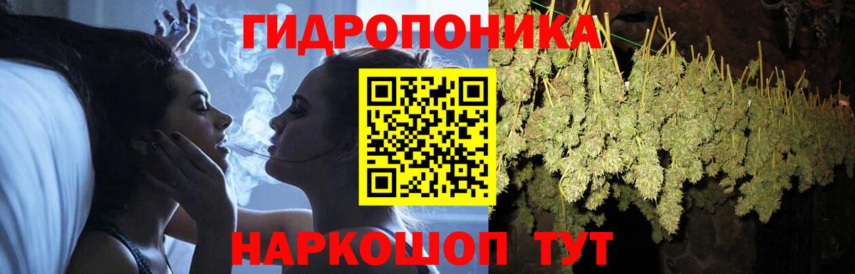 Бошки Шишки MAZAR Слободской